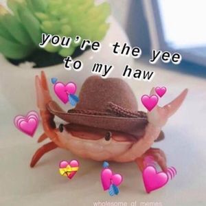 Meet your Posher, Dee